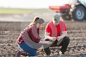 Young farmers examing planted wheat fields