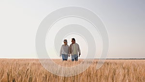 Young farmers examing planted wheat in the fields. Family business. Teamwork in agribusiness.