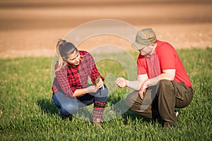 Young farmers examing planted wheat while tractor is plowing fi