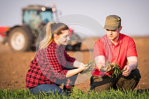 Young farmers examing planted wheat while tractor is plowing fi