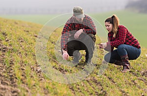 Young farmers examing planted young wheat during winter season