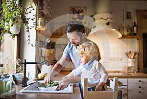 Young father with a toddler boy cooking.