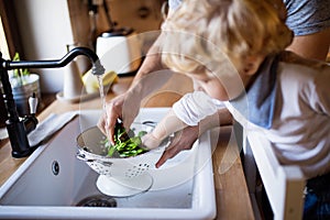 Young father with a toddler boy cooking.