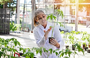 Young female agronomist holding monitoring tomato plant in greenhouse