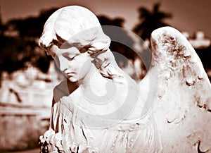 Young female angel in sepia shades