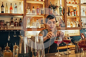 Young female bartender standing behind a bar counter making cocktails