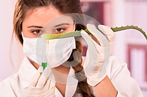 Young female biologist experimenting with leaf