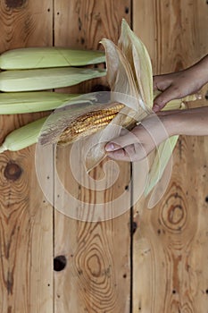 Young female cleaning freshly picked raw corns from cobs on wooden background. Process of Shucking corn