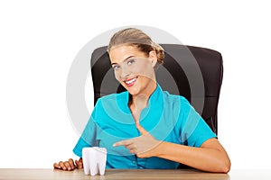 Young female dentist holding tooth model and sitting behind the desk