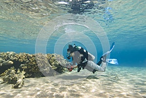 Young female diver in clear shallow water.