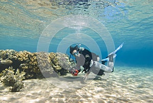 Young female diver in clear shallow water.