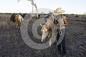 Young female drover caring for her horse photo