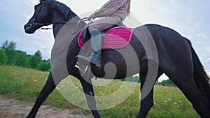 Young female equestrian on horseback galloping on the path through the meadow