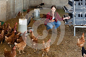 Young female farmer collecting chicken eggs in henhouse