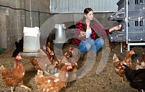 Young female farmer collecting chicken eggs in henhouse