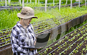 Young female farmer using laptop to record growth data of various vegetables on nursery plots in organic farm