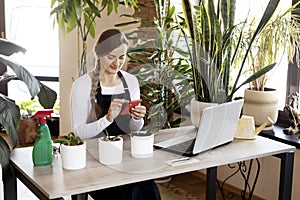 A young female florist checks orders in the phone app and on a laptop, takes orders online. Flower shop, business