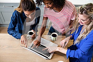 Young female friends using laptop while drinking coffee