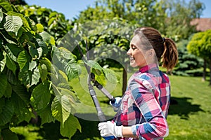 Young female gardener cutting branch using hedge shears