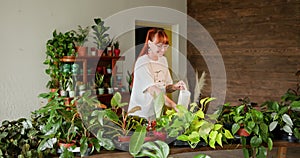 Young Female Gardener Watering Indoor Plants in a Thriving Flower Shop