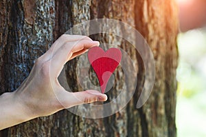 Young female hand holding red wooden heart against old tree trunk