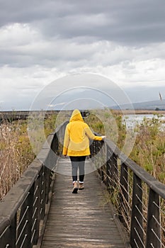 Young female hiker with a yellow raincoat, walks on a wooden trail in the Hula nature reserve