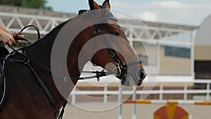 Young female horseman riding strong brown horse on equestrian competition