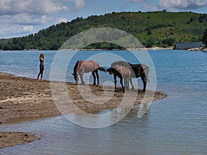 Young female with horses close to lake photo