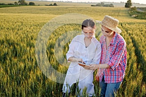 Young female lab technician in white coat and female farmer checking harvest progress on tablet in green wheat field. A