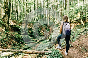 Young female nature explorer in the forest