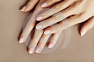 Young Female Palm. Beautiful Glamour Manicure. French Style. Nail polish. Care about Hands and Nails, clean Skin