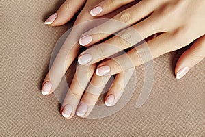 Young Female Palm. Beautiful Glamour Manicure. French Style. Nail polish. Care about Hands and Nails, clean Skin photo