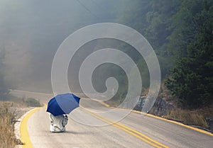 Young female in a raincoat and umbrella on the road in the fog. Travel of women in the raincoat hitchhiking in the rain