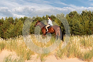 Young female rider atop a beautiful horse, cantering through a meadow of lush grass