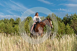 Young female rider atop a beautiful horse, cantering through a meadow of lush grass