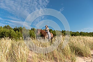 Young female rider atop a beautiful horse, cantering through a meadow of lush grass