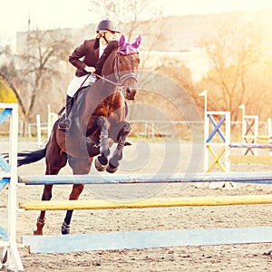 Young female rider on bay horse jump over hurdle