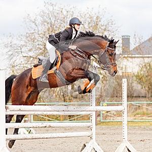 Young female rider on bay horse jump over hurdle