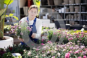 Young female seller holding garden carnation in pot