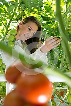 Young female scientist examining tomato plant with magnifier in
