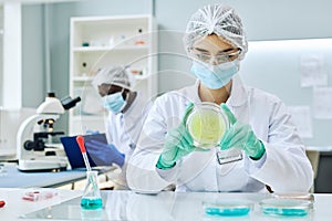 Young female scientist holding petri dish doing experiments with colored liquid