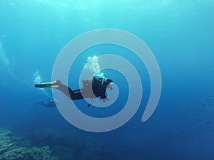 Young female scuba diver in Atlantic ocean