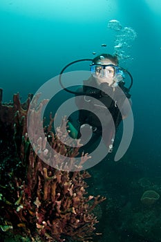 Young female scuba diver swims over reef