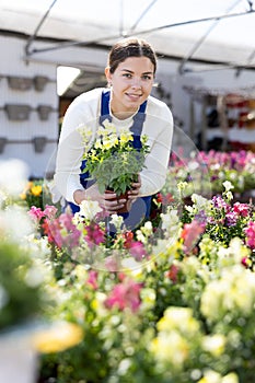 Young female seller holding snapdragons in pot