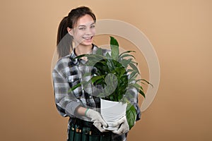 Young female smiling gardener holding pot with green plant on color background.