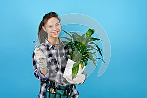 Young female smiling gardener holding pot with green plant on color background.