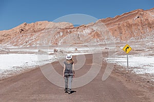 Young female solo traveler walking in hiking trail at Atacama Desert. Single Blond Caucasian girl explore Moon Valley in Chile