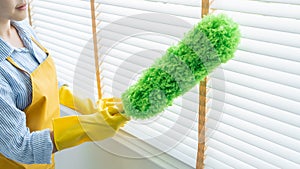 Young female spring cleaning house interior holding a duster for wiping dust dusting furniture at home