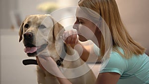 Young female stroking and hugging adorable labrador dog, housepet, best friend