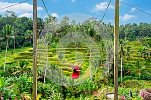 Young female tourist in red dress enjoying the Bali swing at tegalalang rice terrace in Bali